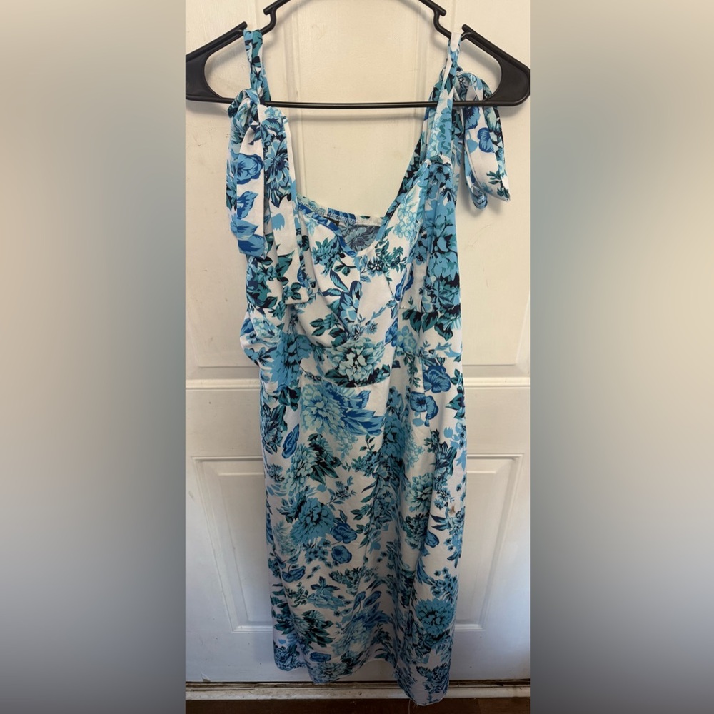 Plus Size Floral Blue and White Dress